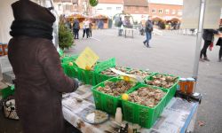 Marche De Noel   020